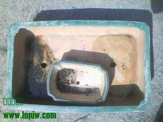 IMG0208A.jpg