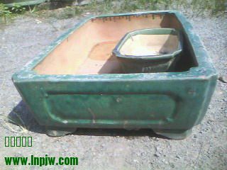 IMG0209A.jpg