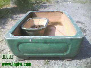 IMG0210A.jpg