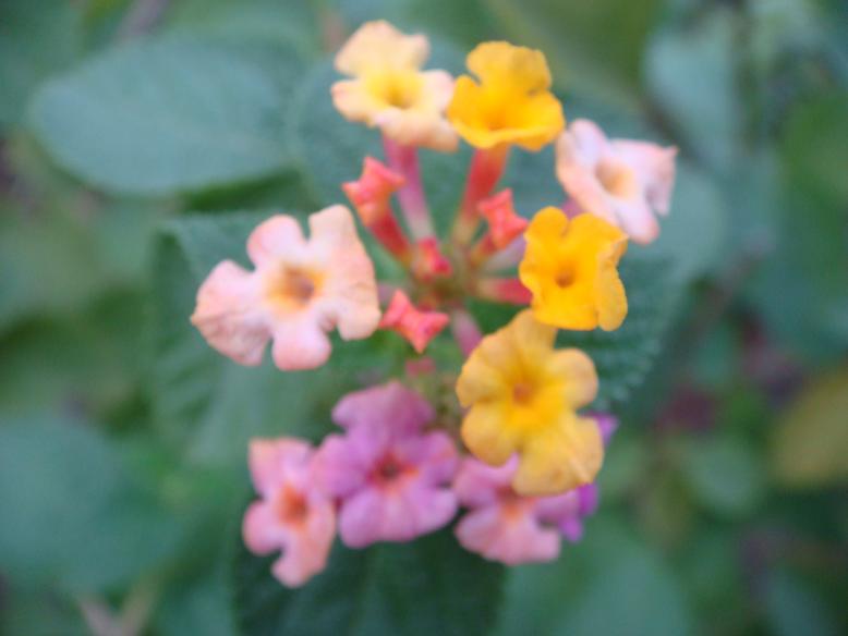 DSC05560.JPG