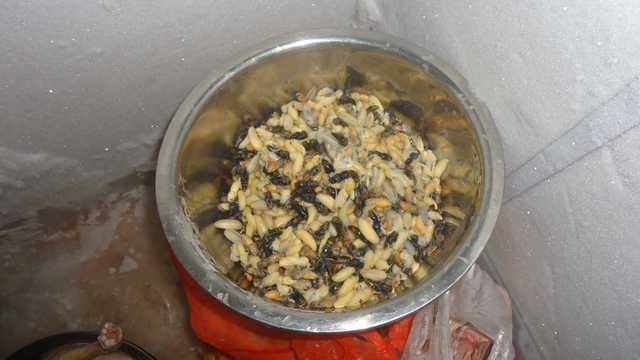 DSC02392.JPG