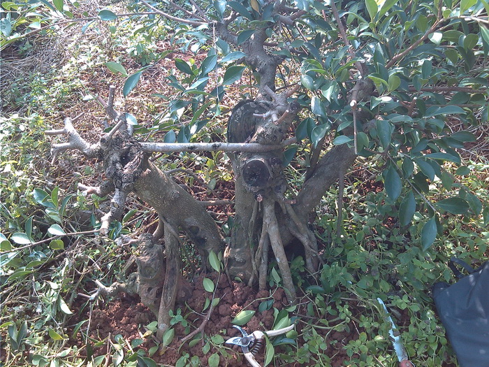 IMG_20131102_095107_С.jpg