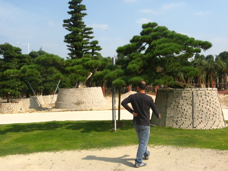 conew_img_7631.jpg