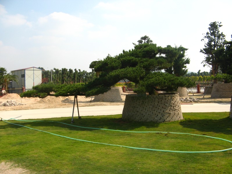 conew_img_7632.jpg