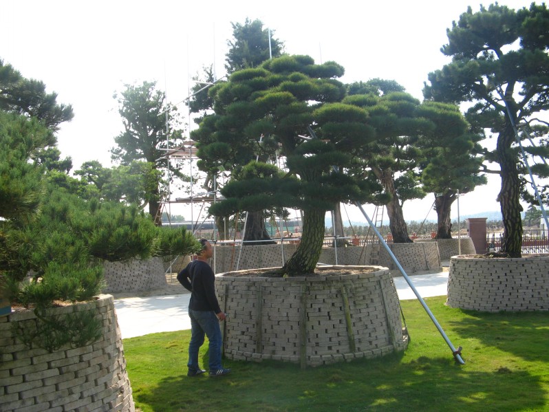 conew_img_7633.jpg
