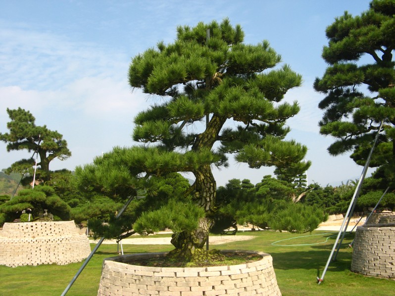 conew_img_7620.jpg