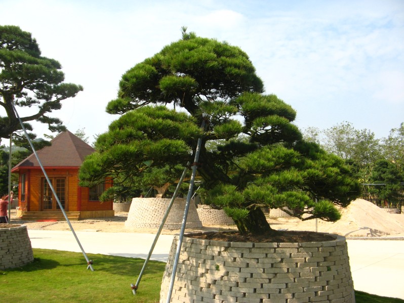 conew_img_7627.jpg