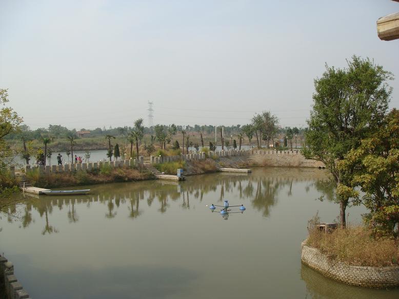 DSC05650.JPG