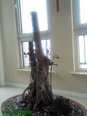 IMG_20130421_111406.jpg