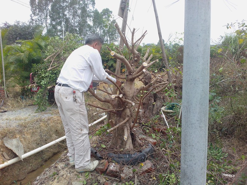 IMG20131103005.jpg