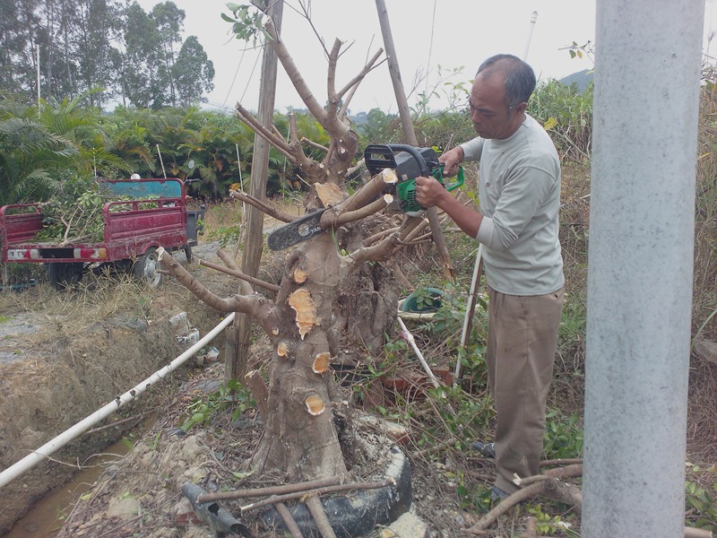 IMG20131103009.jpg