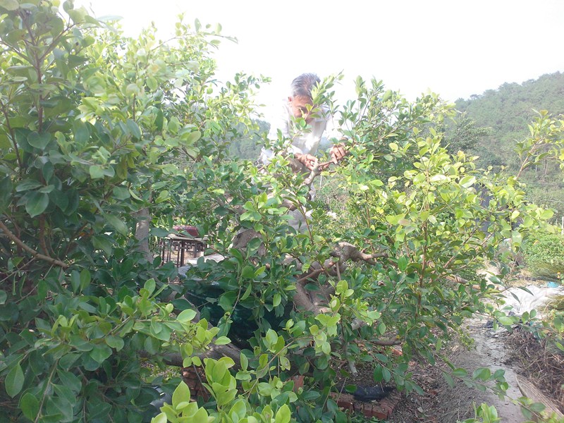 IMG20131103019.jpg