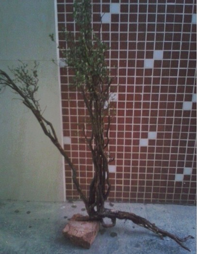 QQͼƬ20131103204907.jpg