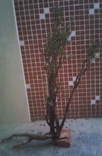 QQͼƬ20131103204922.jpg