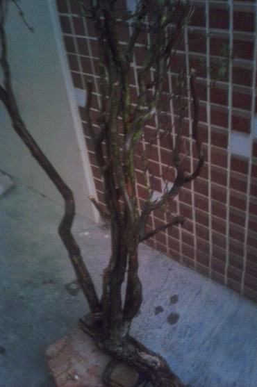 QQͼƬ20131103204927.jpg