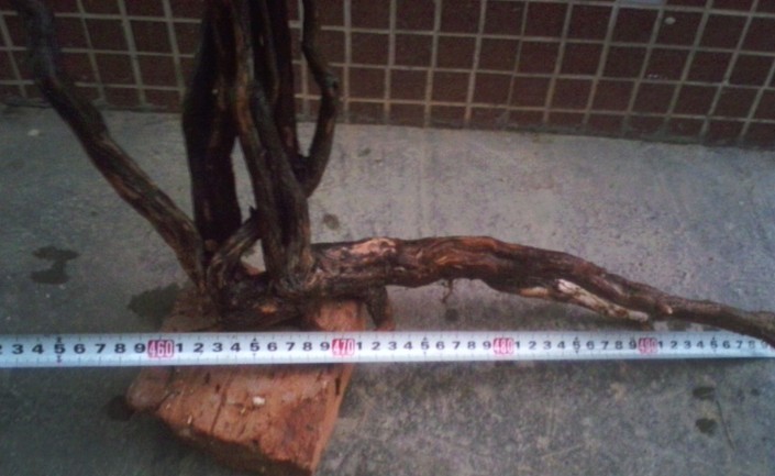QQͼƬ20131103204937.jpg