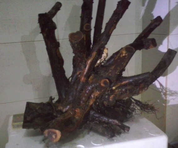 QQͼƬ20131103204946.jpg