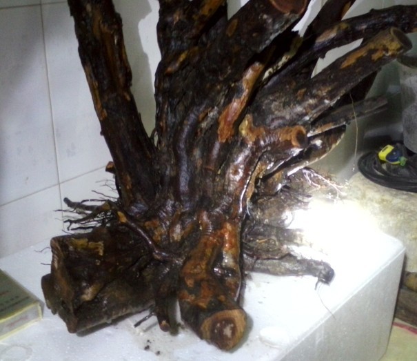 QQͼƬ20131103204949.jpg