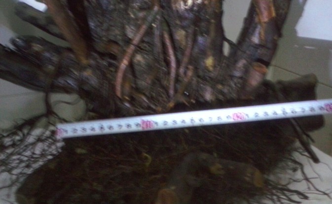 QQͼƬ20131103205000.jpg