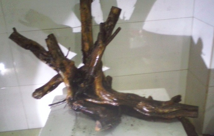 QQͼƬ20131103205005.jpg