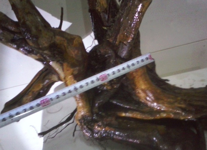 QQͼƬ20131103205009.jpg