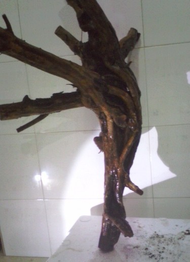 QQͼƬ20131103205013.jpg