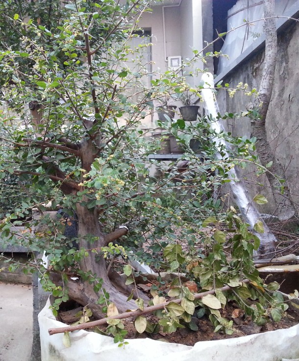 QQͼ20131103211436.jpg