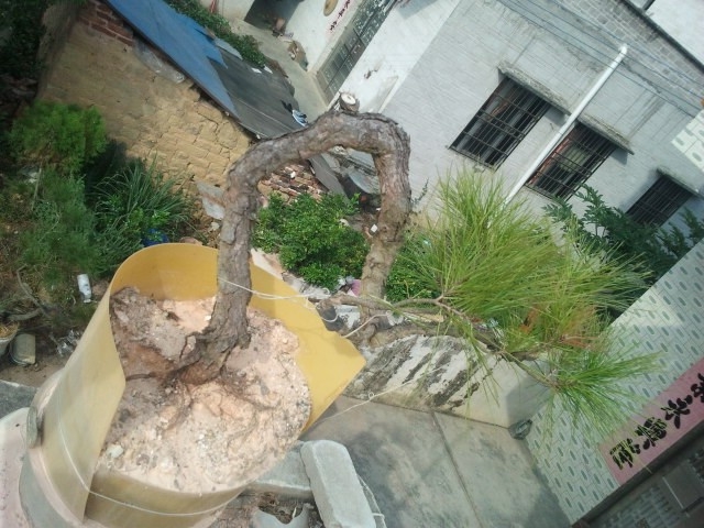 QQͼƬ20131103213554.jpg