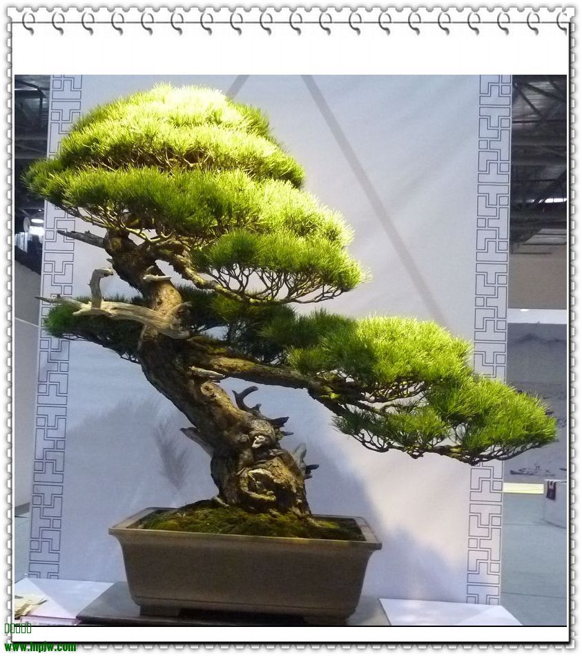 88.JPG