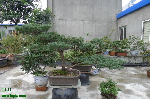P1020488.JPG