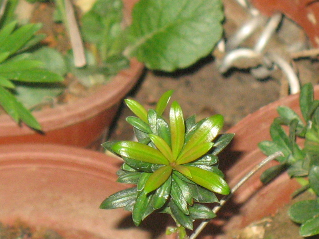 IMG_6840.JPG