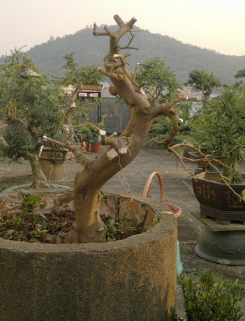 201310261617.jpg