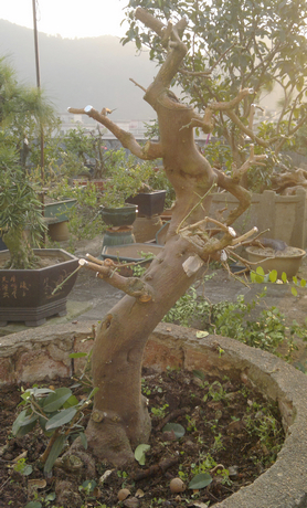 201310261618.jpg