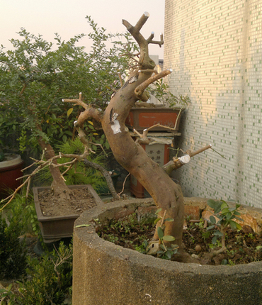 201310261619.jpg