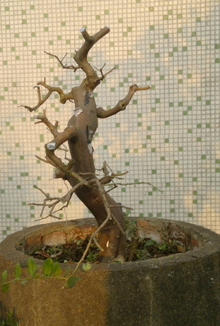 201310261620.jpg