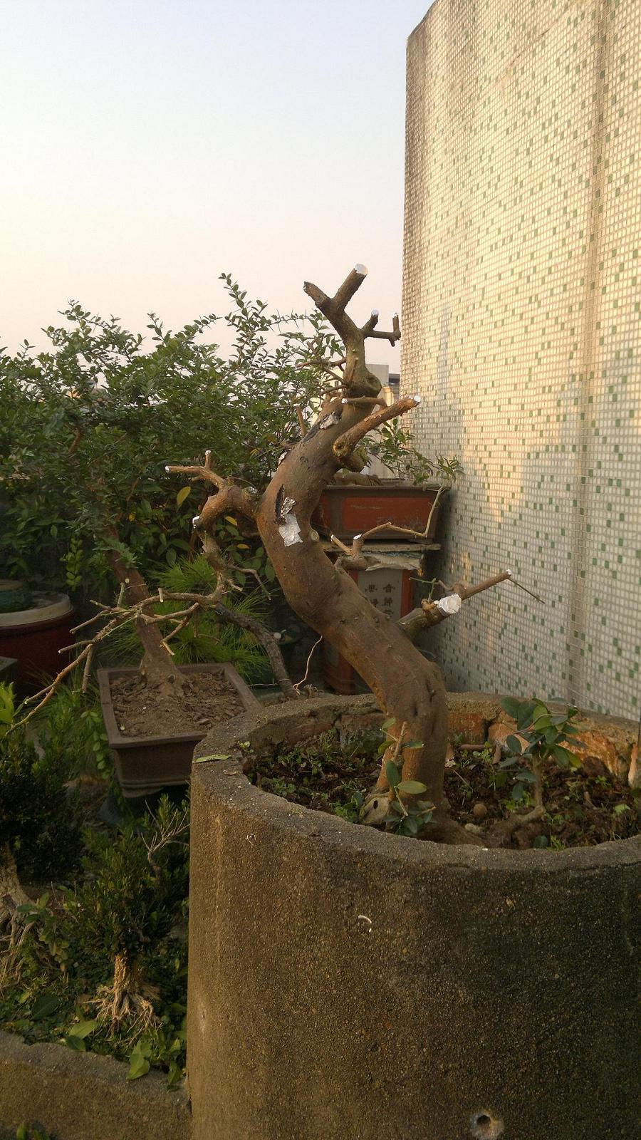 201310261619.jpg