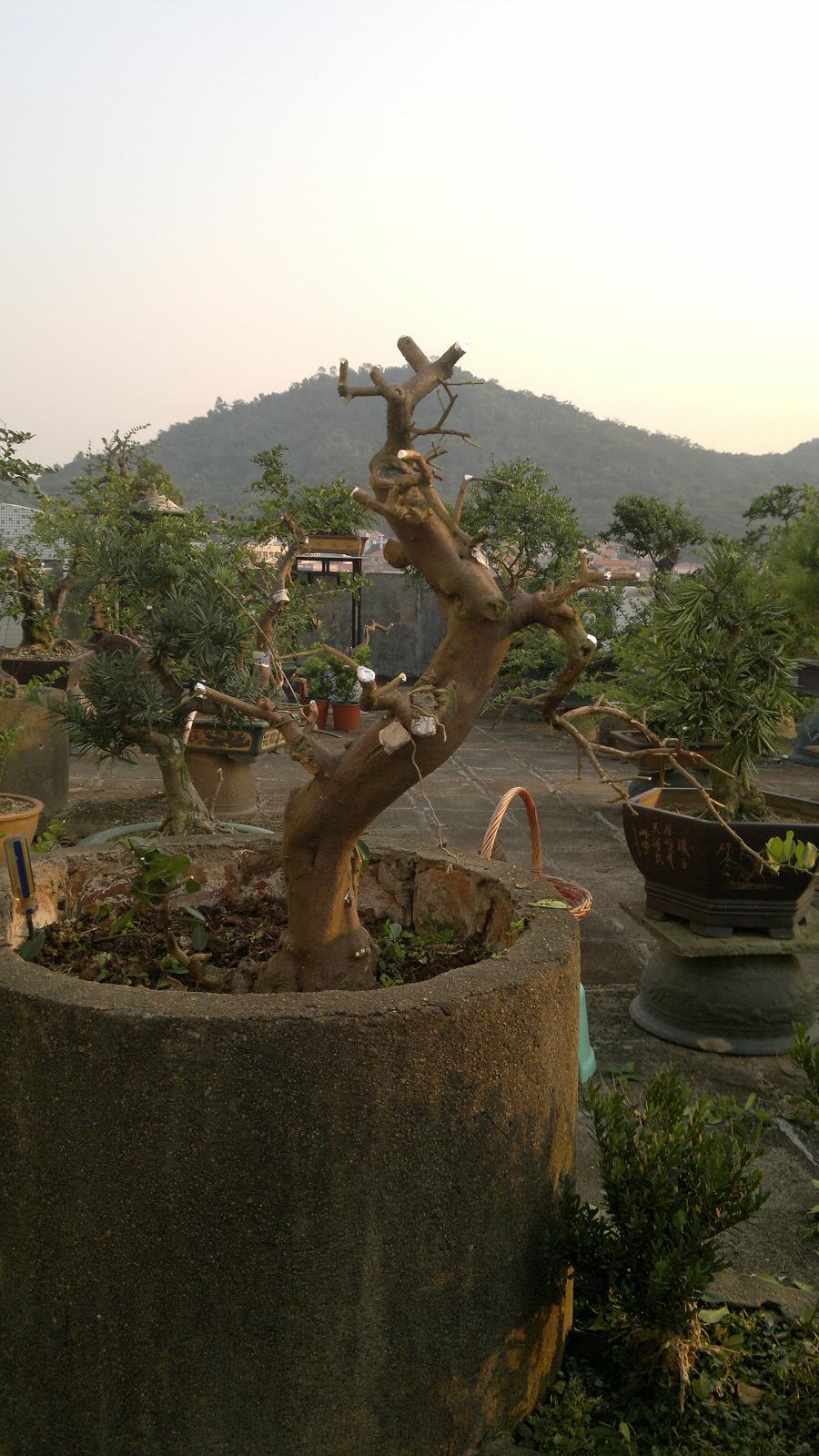 201310261617.jpg