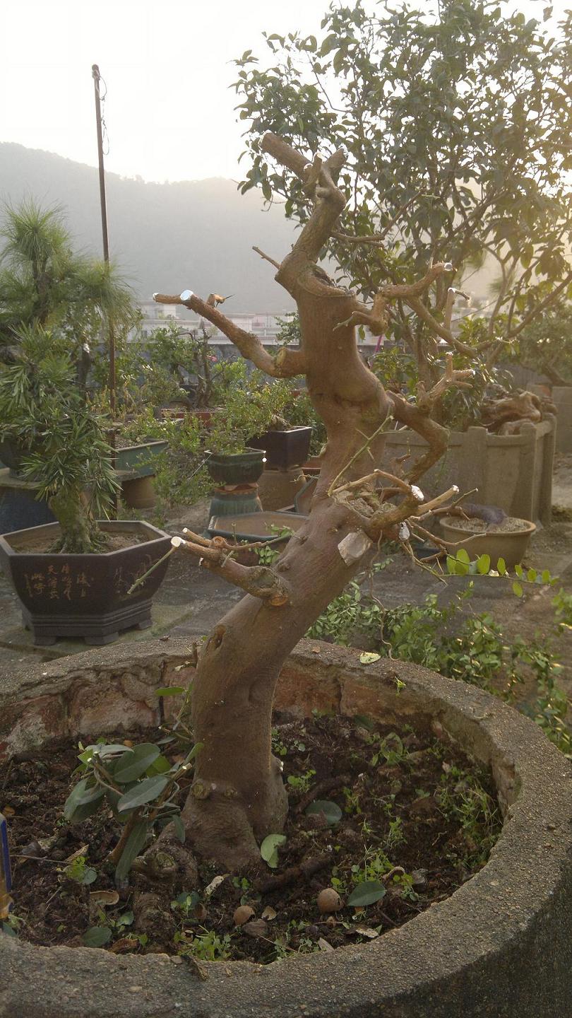 201310261618.jpg