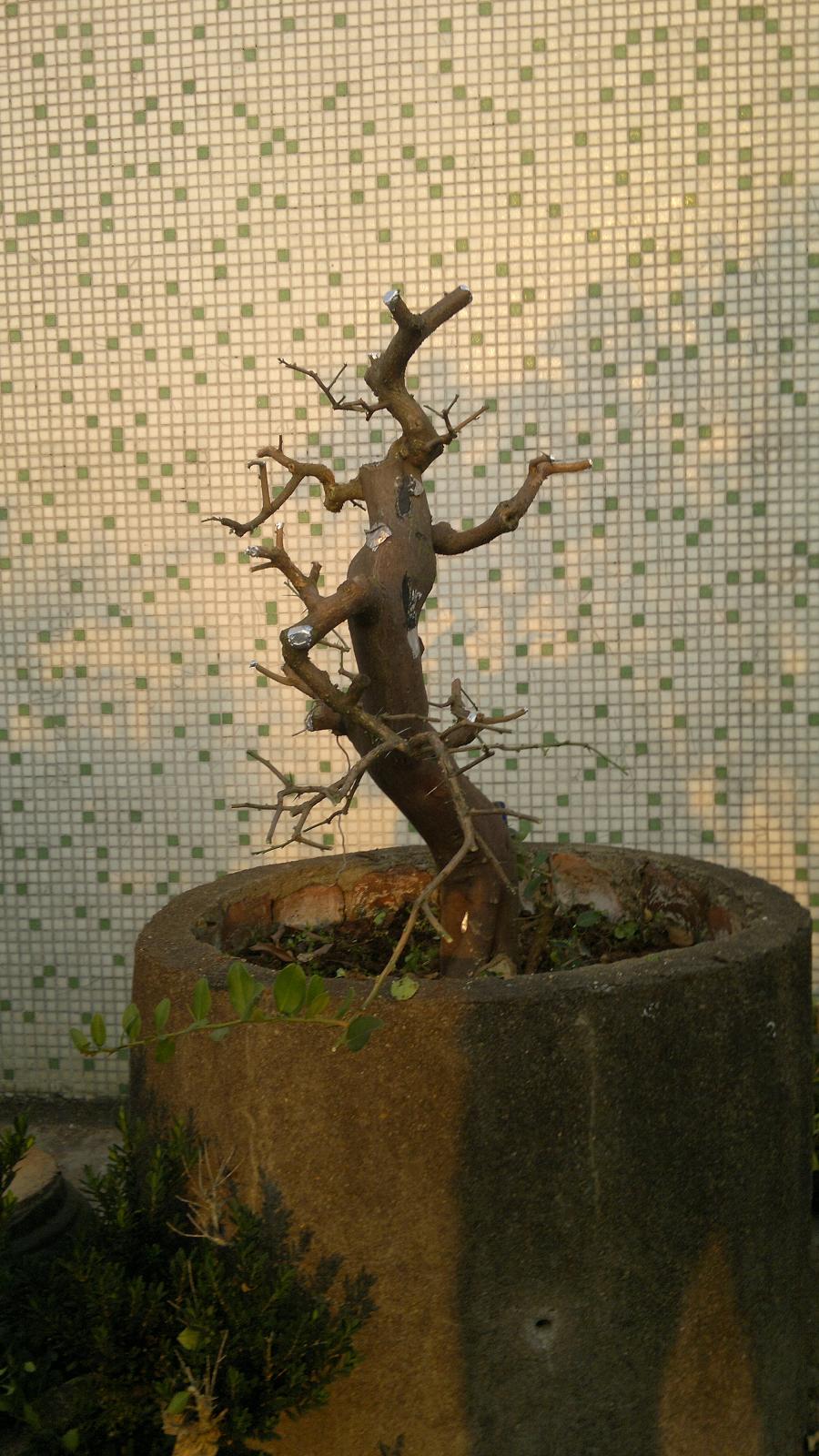 201310261620.jpg