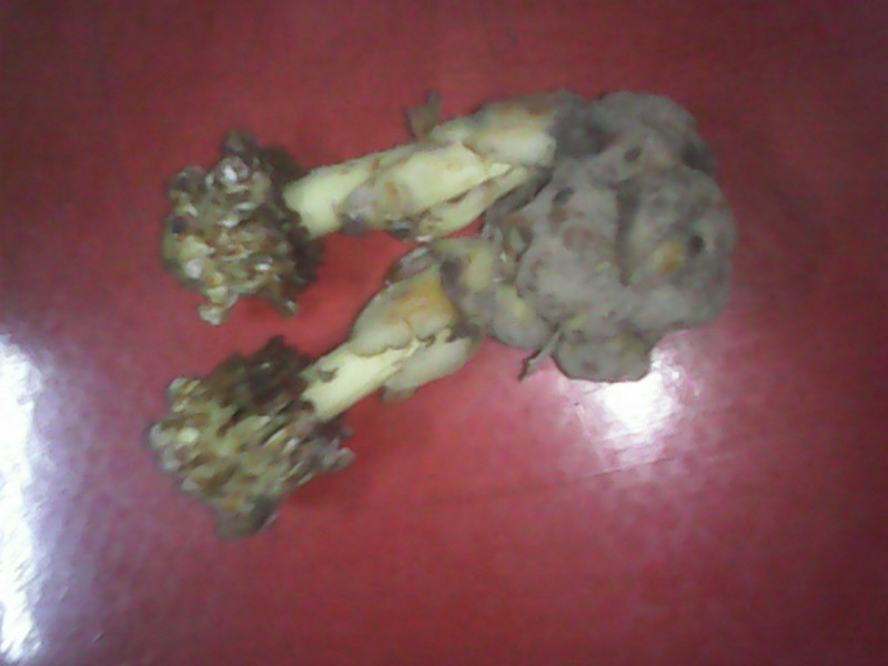 IMG_20131105_180541871.jpg