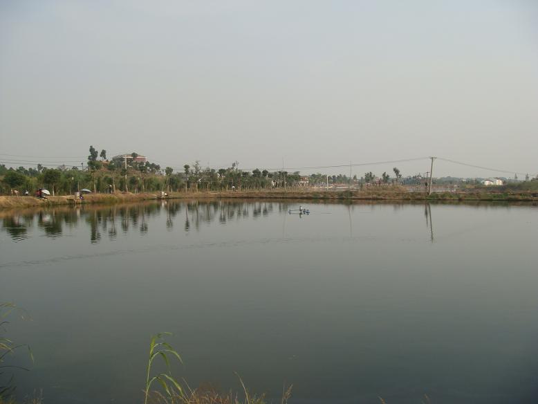 DSC05697.JPG