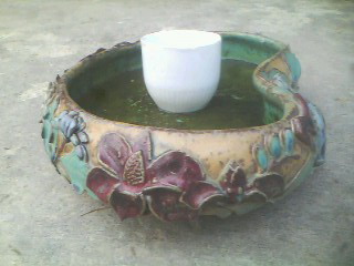 IMG0224A.jpg