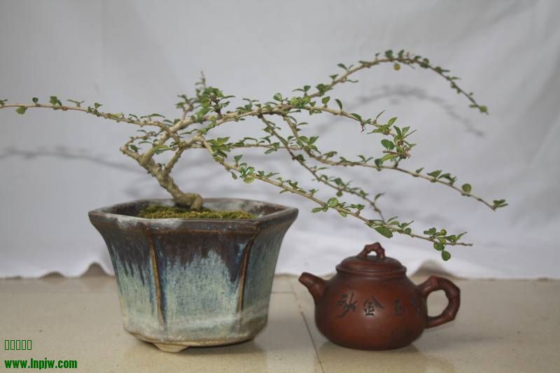 Ƭ20131026ۺ 213.jpg