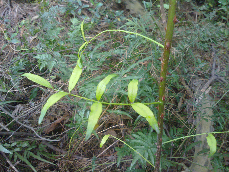201311061338_.jpg
