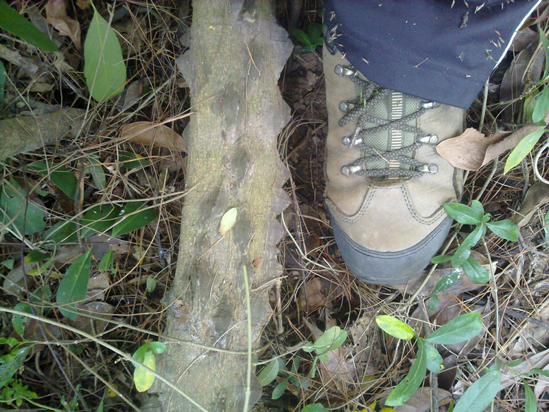 201311061340_.jpg