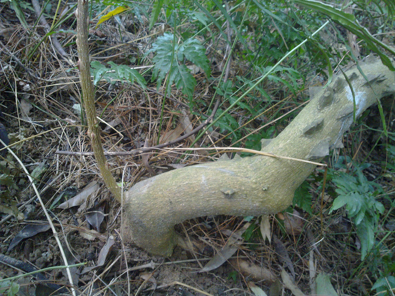 201311061339_.jpg