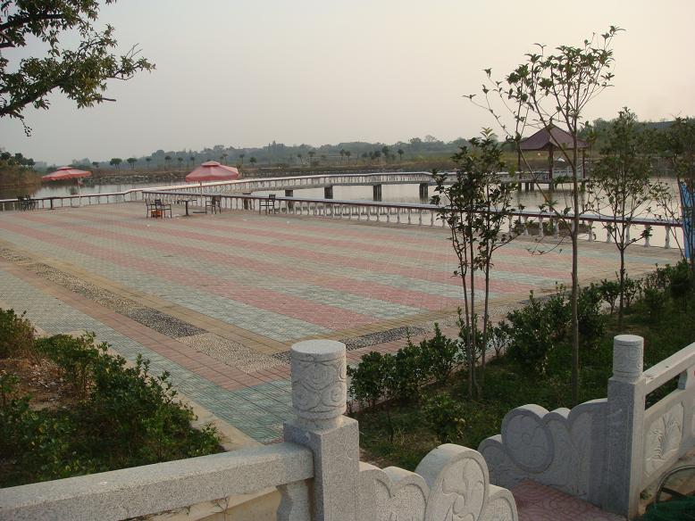 DSC05706.JPG