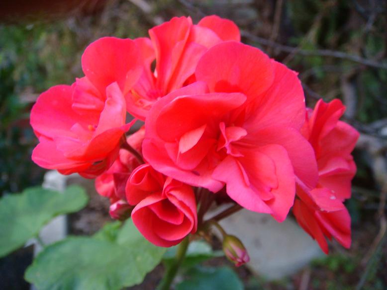 DSC05913.JPG