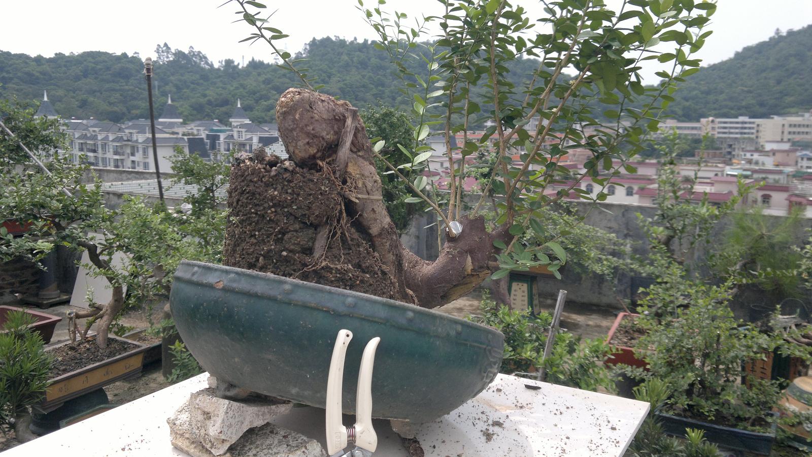 20120812837.jpg