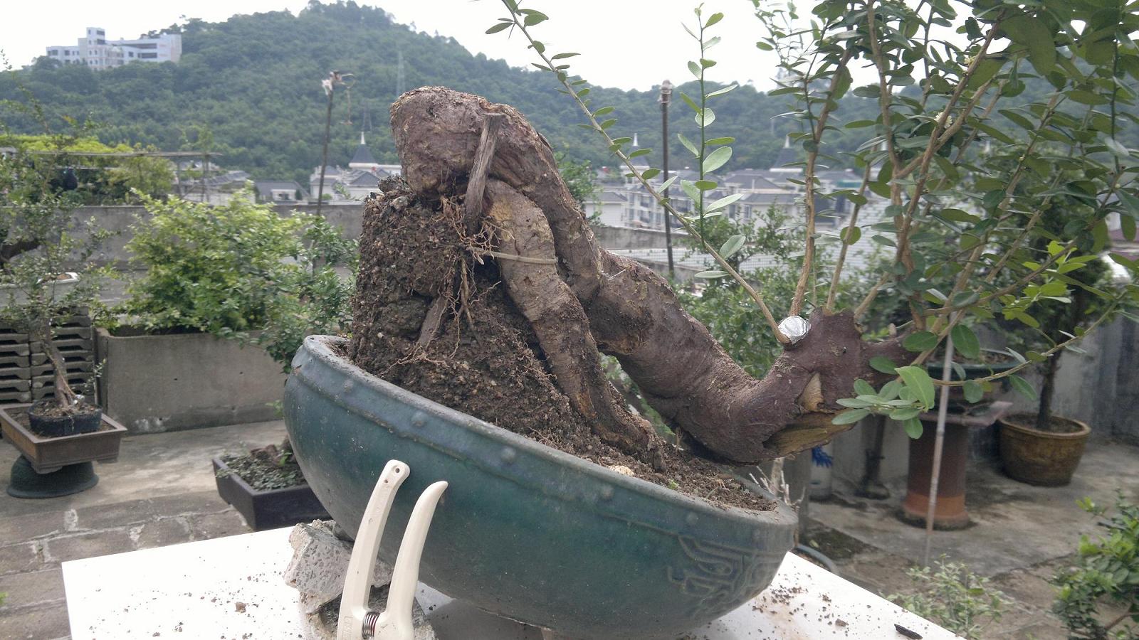 20120812839.jpg
